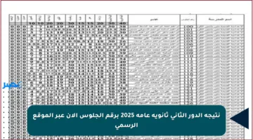 نتيجة الدور الثاني ثانوية عامة 2025 برقم الجلوس الآن عبر الموقع الرسمي